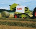 claas_rollant_1.jpg